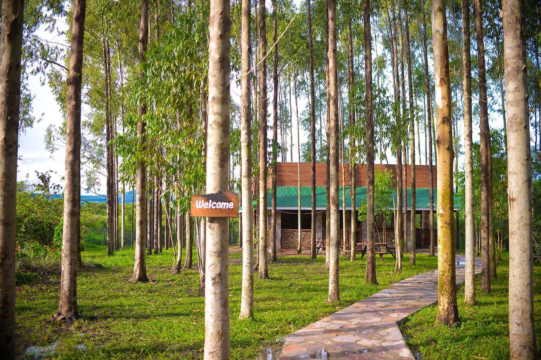 Kabalega Resort - Masindi Eksteriør billede
