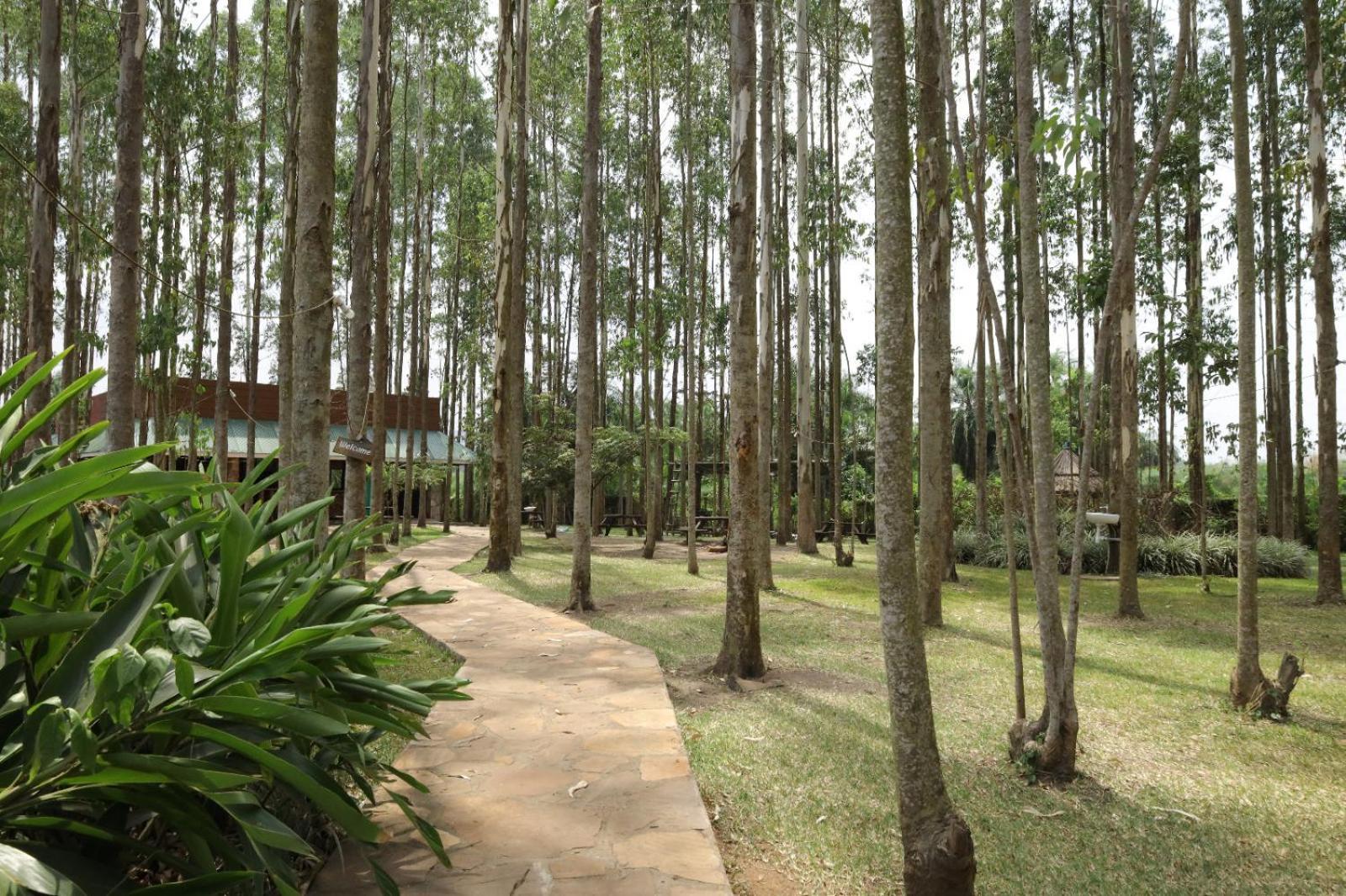 Kabalega Resort - Masindi Eksteriør billede